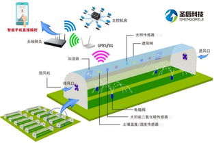 谈一谈温室大棚物联网系统的组成结构